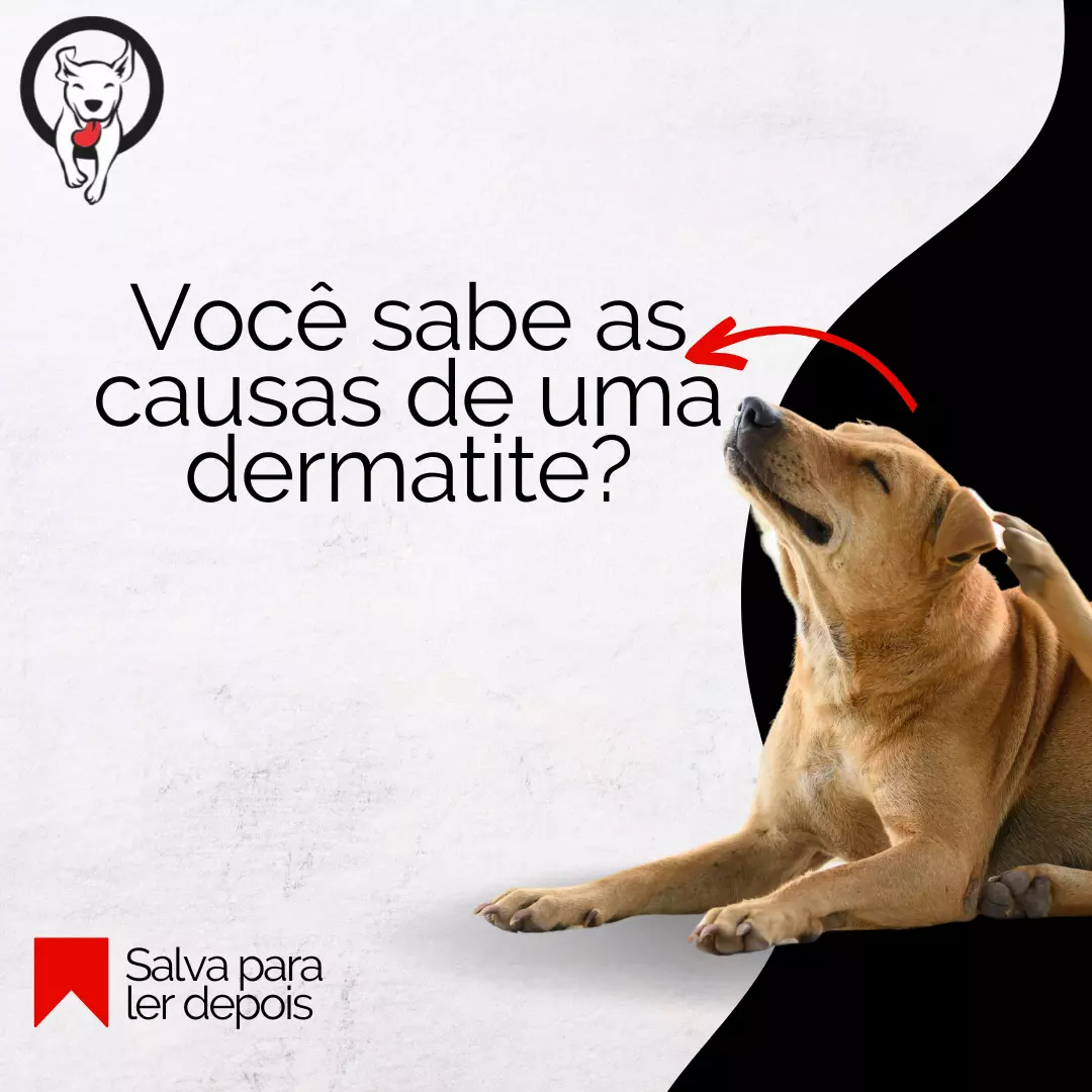 Você sabe as causas de uma dermatite?